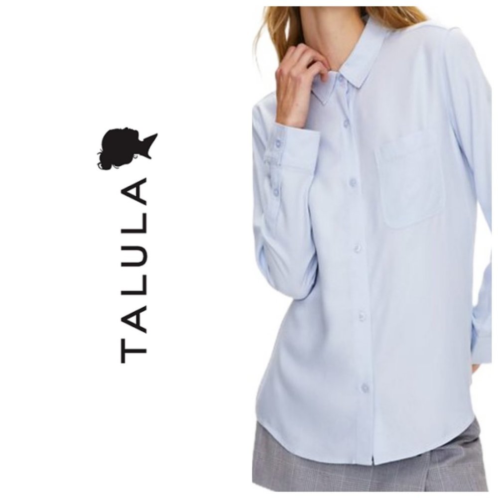 ARITZIA TALULA Blue Boyfriend Pinstriped Shirt